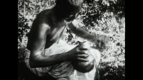 Chasse Aux Singes Stock Footage 83603934