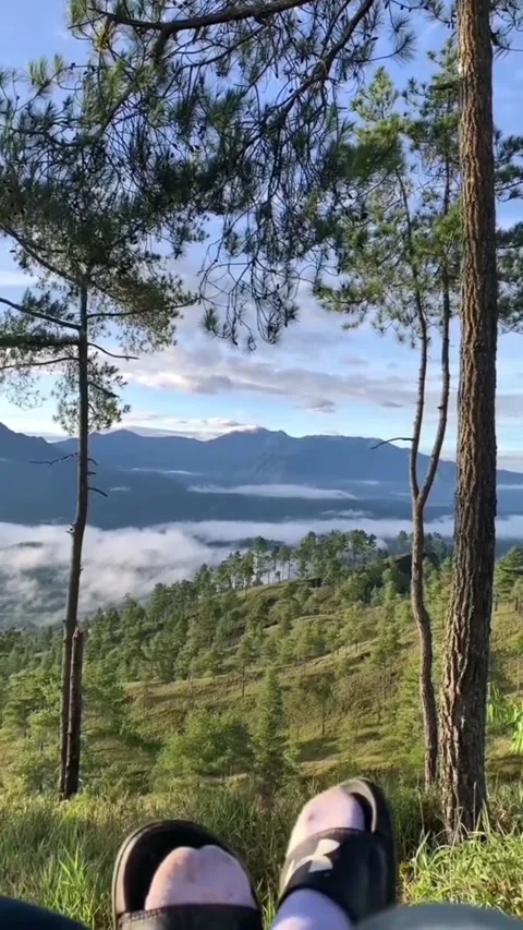 Chat with nature Stock Footage 243614908