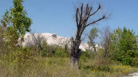 Chat Piles Pan Right Stock Footage 55269404