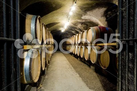 Chateau de Cary Potet (wine cellar), Buxy, Burgundy, France Stock-Fotos