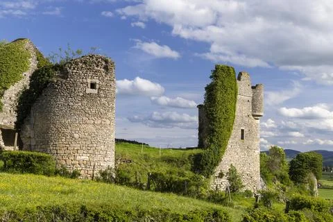Chateau de Sigy le Chatel ruins with green foliage 스톡 사진