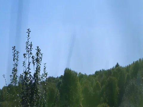 Chateau Orchard Stock Footage 80865250