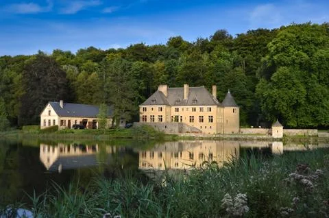 Chateau on a pond Foto stock