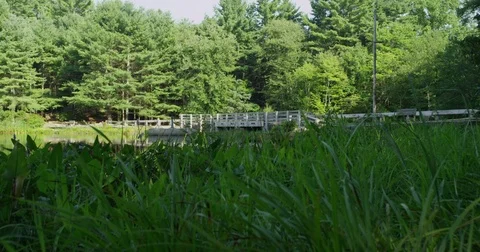Chatfield Hollow State Park in summer time. Stock Footage 81625016