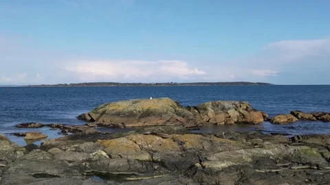 Chatham Islands from  Cattle Point Vídeo Stock 190806103