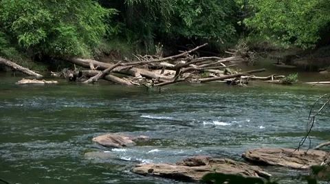 Chattahoochee River 02 스톡 동영상 7934068
