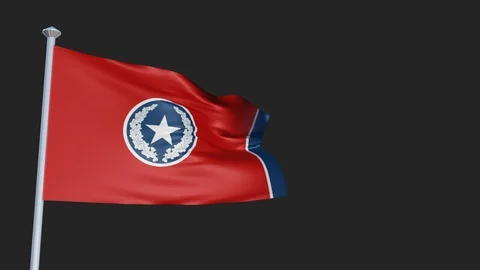 Chattanooga - Loopable 3D flag animation with Alpha Channel and Transparency  Stock-Footage 90968612