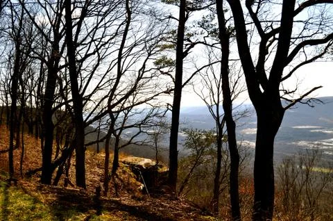 Chattanooga through the trees Stockfoto's
