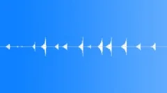 Chattering Insects Sound Effect