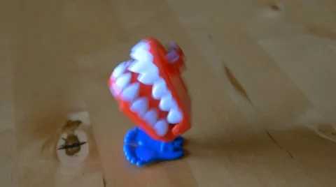 Chattering teeth wind up toy across table funny jumping teeth toy 4k Stock Footage 55043099