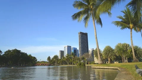 Chatuchak park.mov 스톡 동영상 108169349