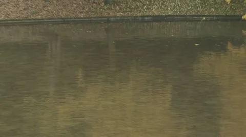 Chaumont Park Stock Footage 18142917