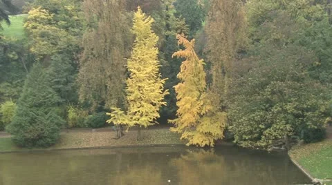 Chaumont Park Stock Footage 18143452