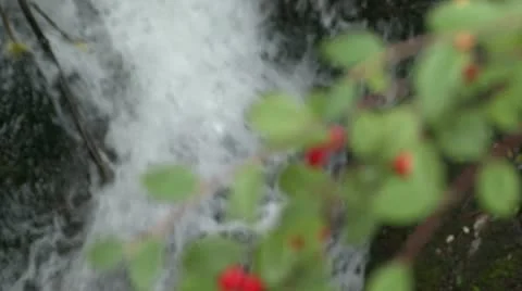 Chaumont Park Paris Waterfall Stock Footage 17522892