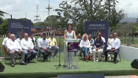 Chavismo prepares to begin a thirteen-day "grand pilgrimage" against sanctions,  스톡 동영상 333013623
