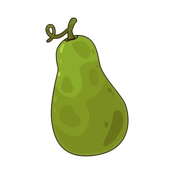 Chayote illustration Stock Illustration
