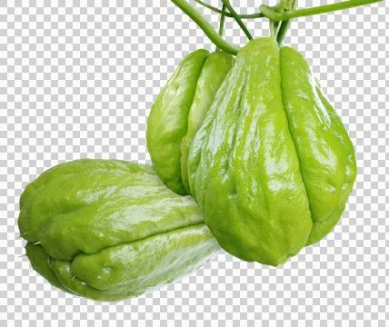 Chayote Stock Photos