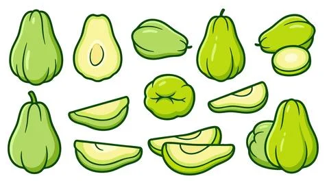 Chayote Squash Vector Collection with Whole and Sliced Pieces Stock Illustration