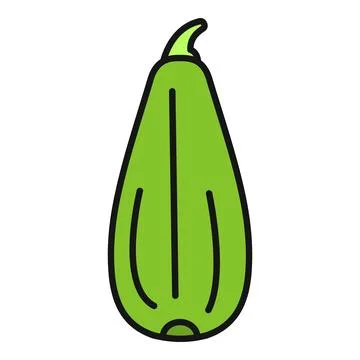 Chayote squash vegetable icon isolated vector illustration イラスト素材