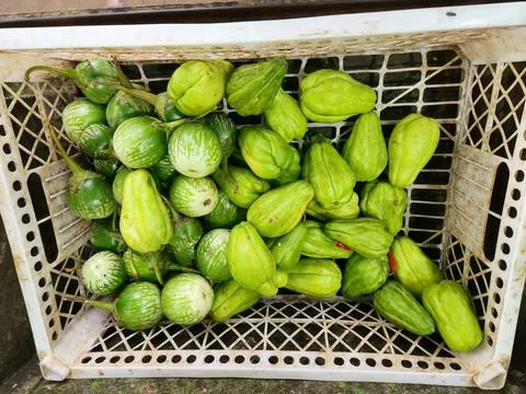 Chayote vegetables arranged inside crate for market retail. Stock Photos