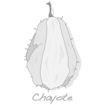 Chayote on white background Stock Illustration