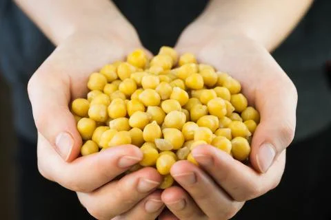 Cheakpeas in hands Stock Photos