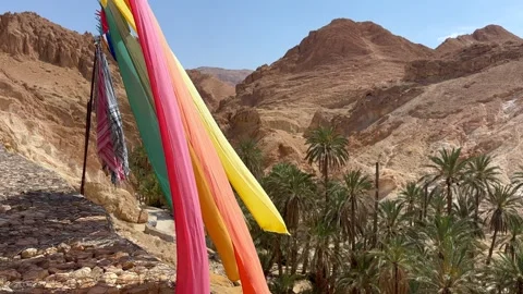 Chebika oasis Stock Footage 340299949