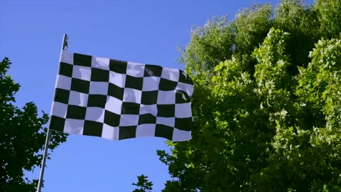 Chechered flag waving Stock Footage 133083342