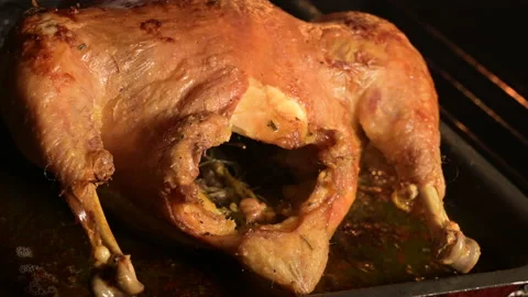  check the chicken that is roasting in the oven Vídeo Stock 139489635