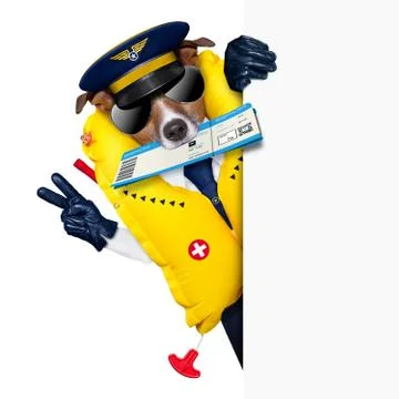 Check in dog Illustration