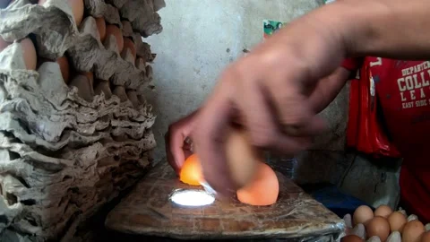 Check eggs Stock Footage 238059621