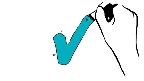 Check Stock Footage 123271514