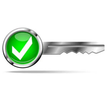 Check mark with green key Stock Illustration