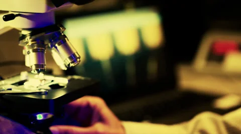 Check micro electronic chip under a microscope Stock Footage 38612194