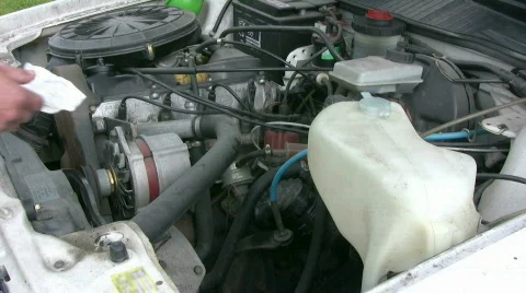 Check oil Video stock 502196