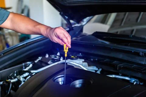 Check the oil level in car engine. Mechanic checking car engine or vehicle. C 스톡 사진