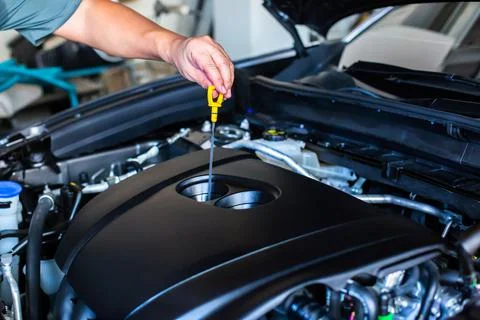 Check the oil level in car engine. Mechanic checking car engine or vehicle. C Stock Photos