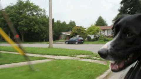 The check out Stock Footage 788296