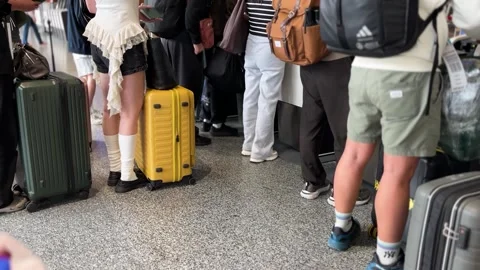 Check in passengers with luggage Stock Footage 334534209