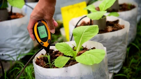 Check pH value in Planting bag Stock Footage 142251161