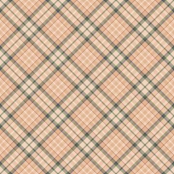 Check plaid seamless pattern. Vector background of textile ornament. Flat fab Stockillustratie