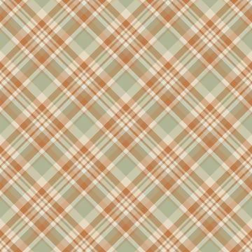 Check plaid seamless pattern. Vector background of textile ornament. Flat fab Illustrazione stock