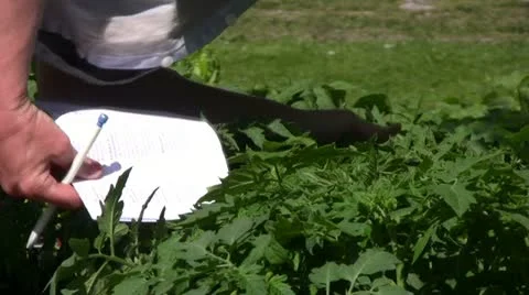 Check plants 動画素材 20451574