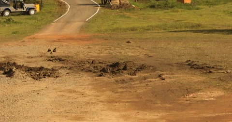 Check Post At Main Entry Gate Stock Footage 291943666