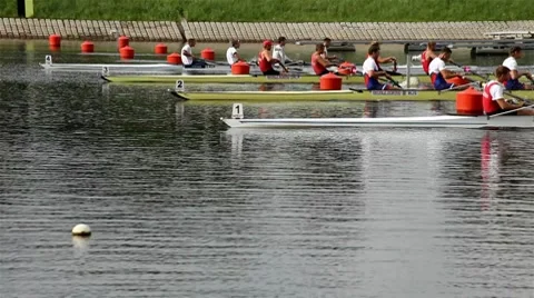 Check start rowing Stock Footage 8554483