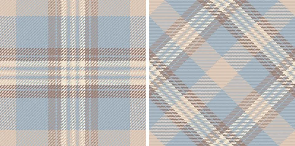 Check tartan fabric of texture pattern textile with a seamless vector backgro Illustrazione stock