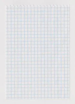 Checked notebook sheet Foto stock
