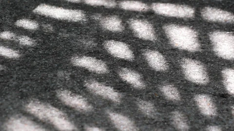 Checked pattern shadow of Chinese fan palm leaves swaying on weathered gravel co Stock Footage 130890143