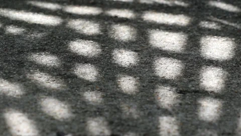 Checked pattern shadow of Chinese fan palm leaves swaying on weathered gravel co Video stock 130890697