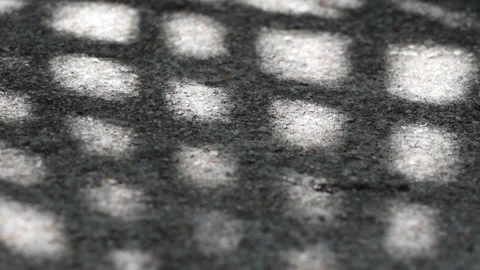 Checked pattern shadow of Chinese fan palm leaves swaying on weathered gravel co Video stock 130891177
